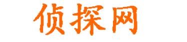 上海落雪调查网
